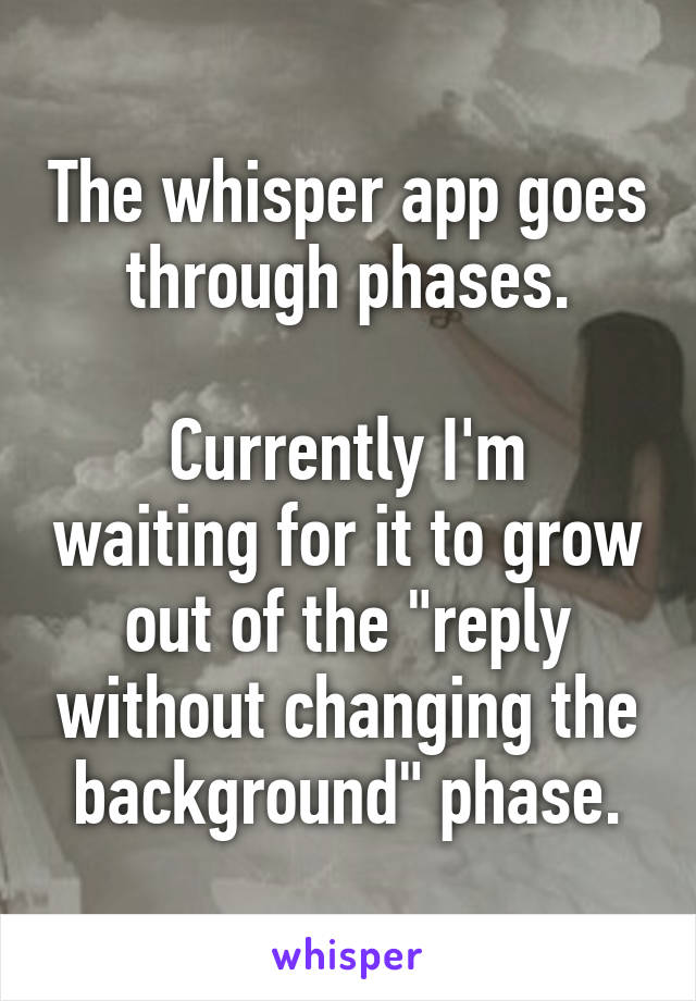 The whisper app goes through phases.

Currently I'm waiting for it to grow out of the "reply without changing the background" phase.