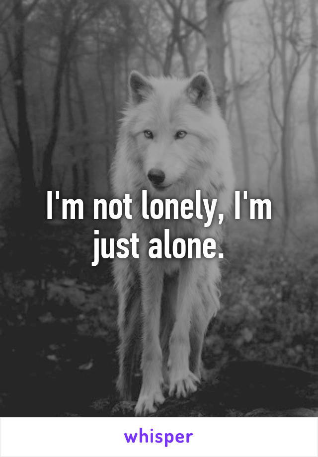 I'm not lonely, I'm just alone.