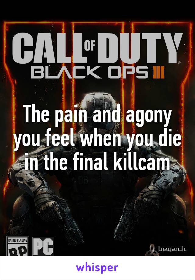 The pain and agony you feel when you die in the final killcam