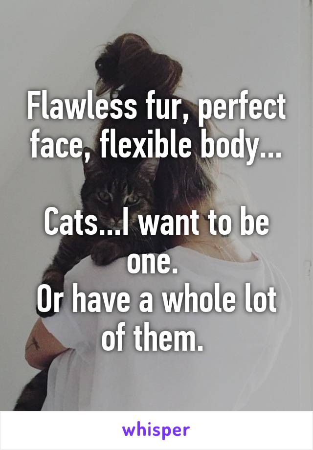 Flawless fur, perfect face, flexible body...

Cats...I want to be one. 
Or have a whole lot of them. 