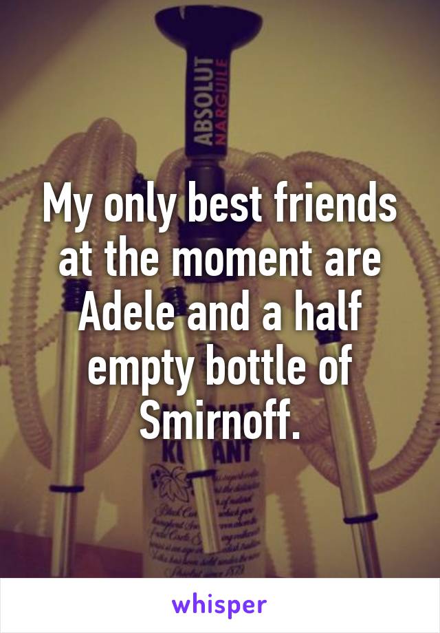 My only best friends at the moment are Adele and a half empty bottle of Smirnoff.