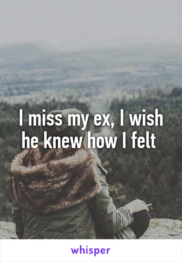 I miss my ex, I wish he knew how I felt 
