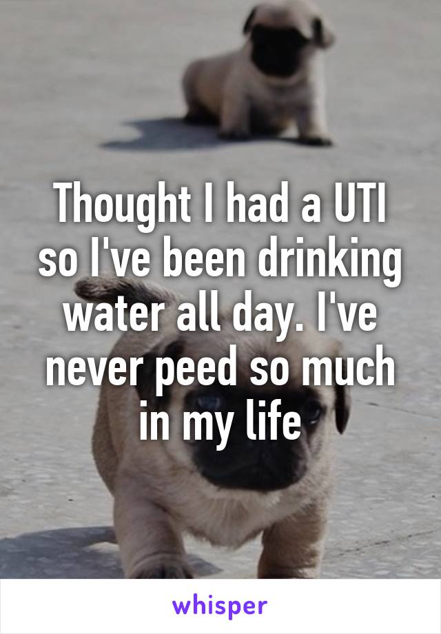 Thought I had a UTI so I've been drinking water all day. I've never peed so much in my life