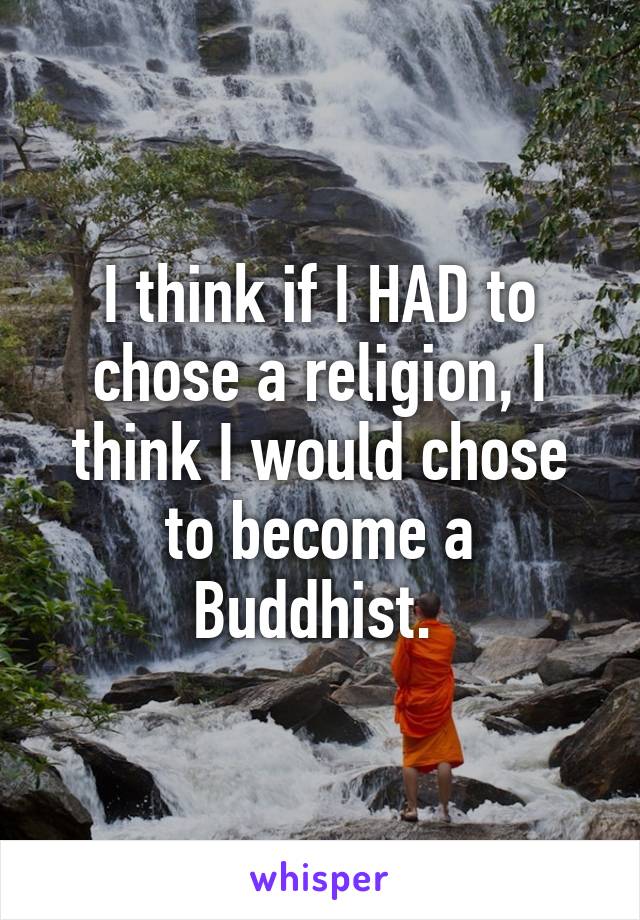 I think if I HAD to chose a religion, I think I would chose to become a Buddhist. 