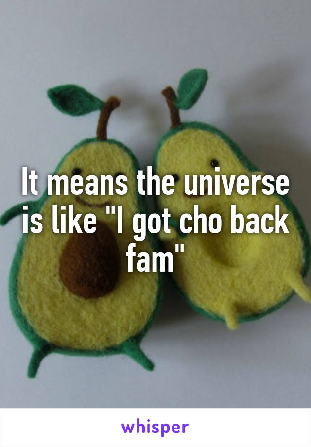 It means the universe is like "I got cho back fam"