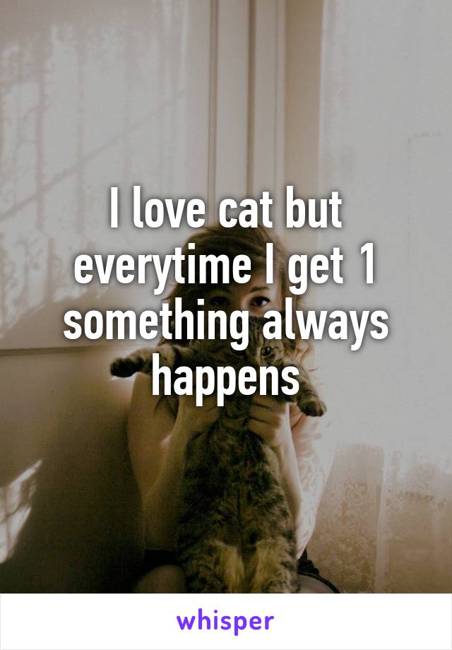I love cat but everytime I get 1 something always happens
