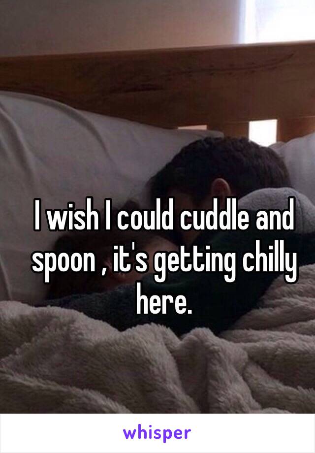 I wish I could cuddle and spoon , it's getting chilly here.   