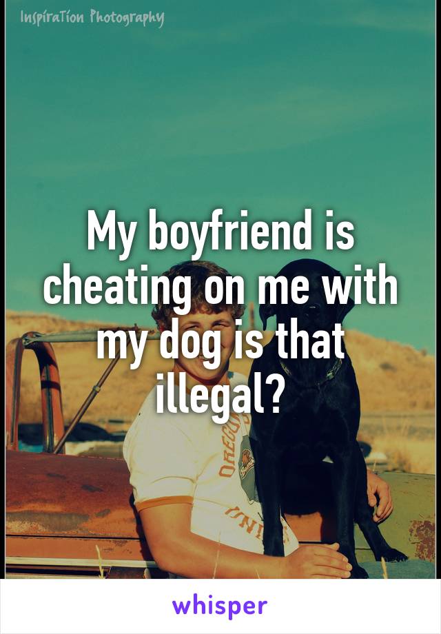 My boyfriend is cheating on me with my dog is that illegal?