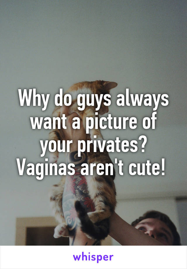 Why do guys always want a picture of your privates? Vaginas aren't cute! 