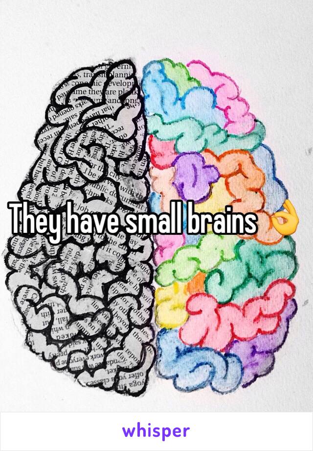 They have small brains 👌