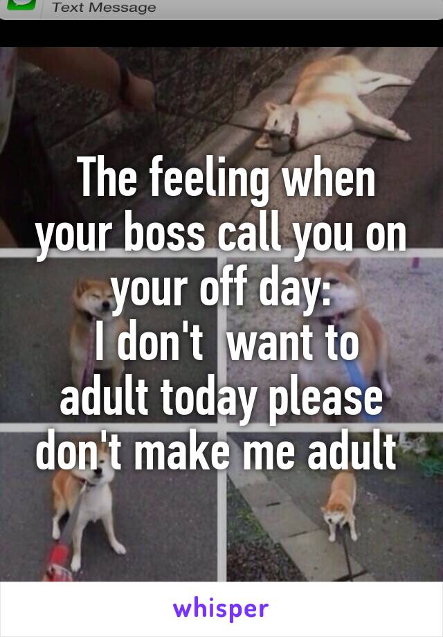  The feeling when your boss call you on your off day:
 I don't  want to adult today please don't make me adult 