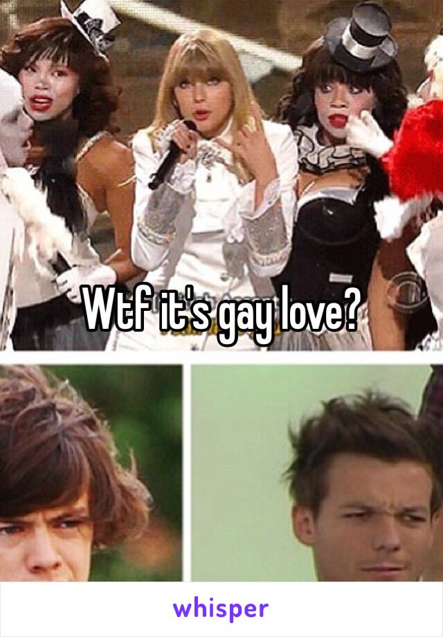 Wtf it's gay love?