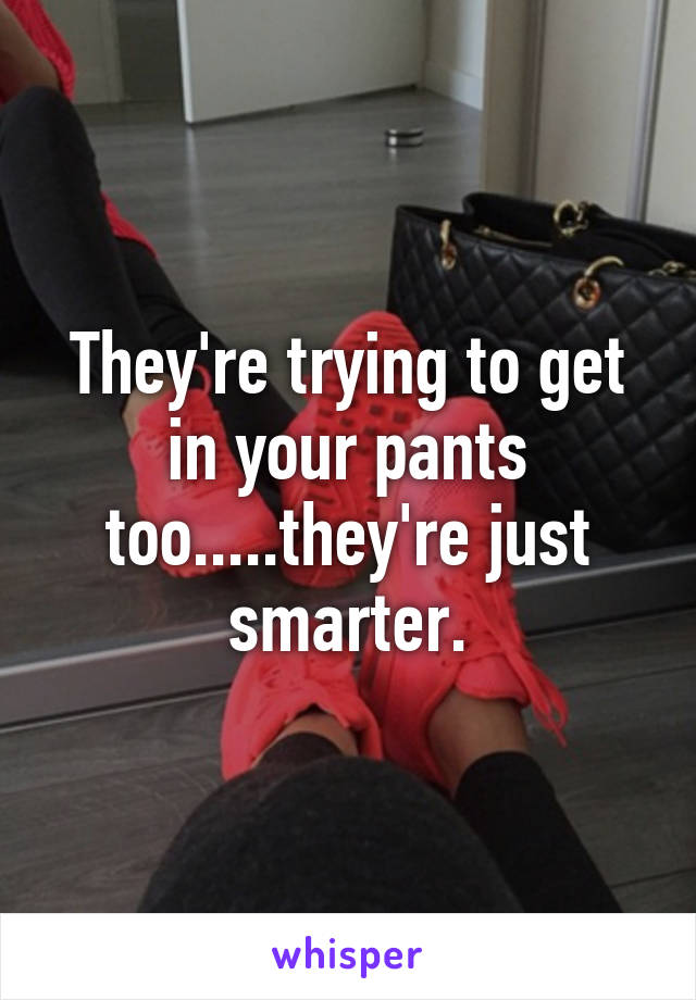 They're trying to get in your pants too.....they're just smarter.