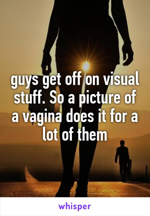 guys get off on visual stuff. So a picture of a vagina does it for a lot of them