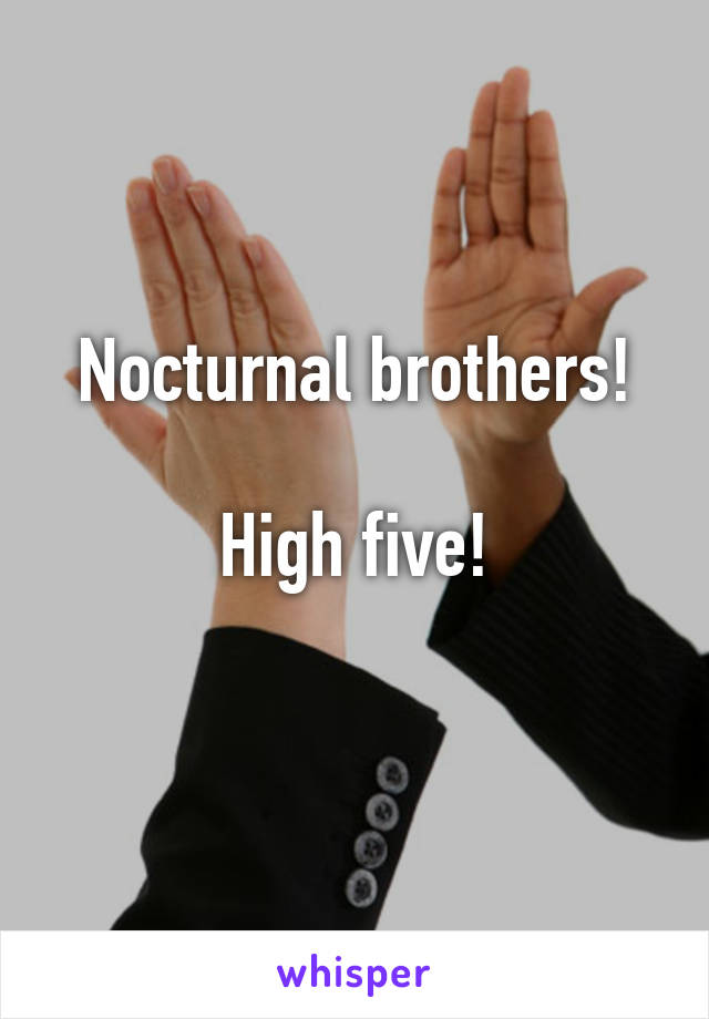 Nocturnal brothers!

High five!

