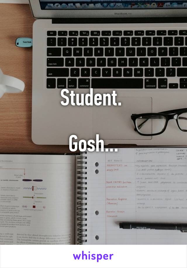 Student. 

Gosh...
