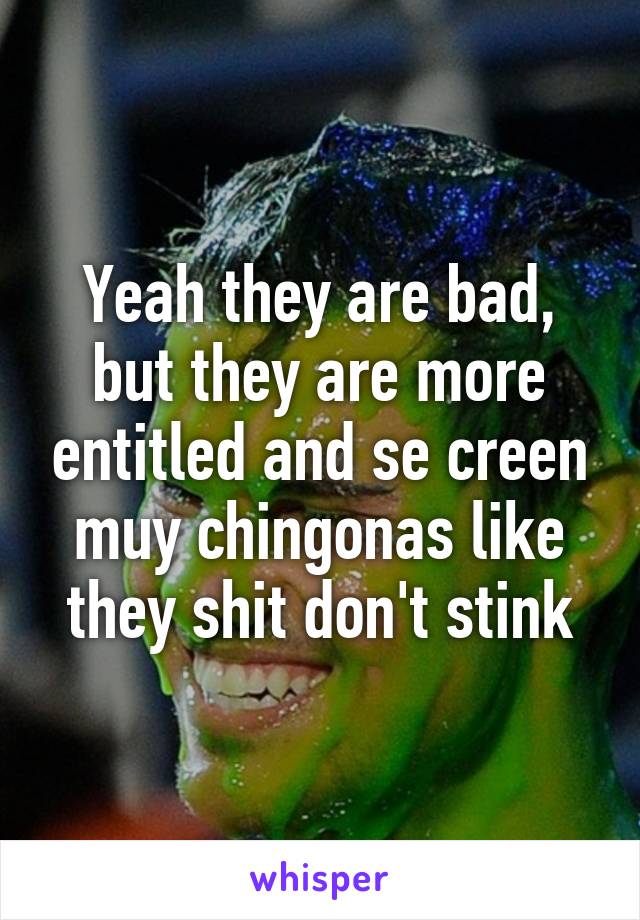 Yeah they are bad, but they are more entitled and se creen muy chingonas like they shit don't stink