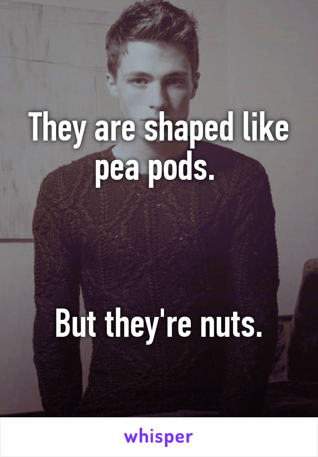 They are shaped like pea pods. 



But they're nuts.