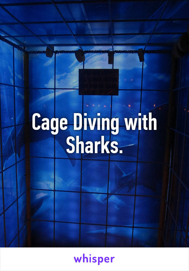 Cage Diving with Sharks.