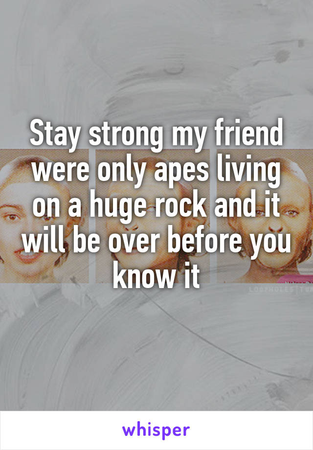 Stay strong my friend were only apes living on a huge rock and it will be over before you know it
