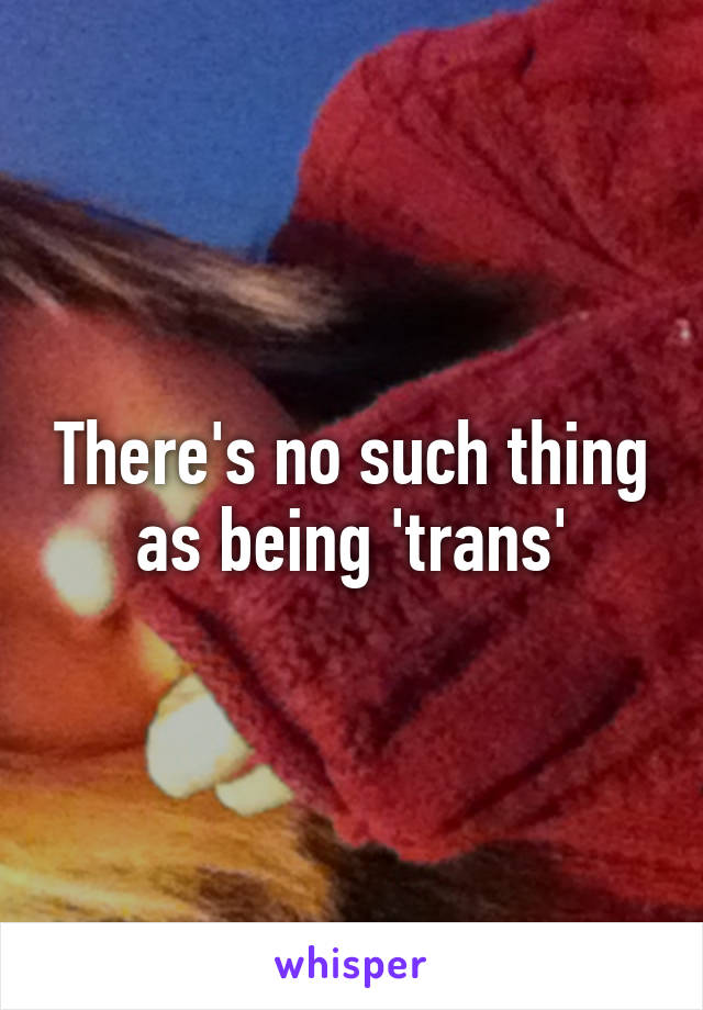 There's no such thing as being 'trans'