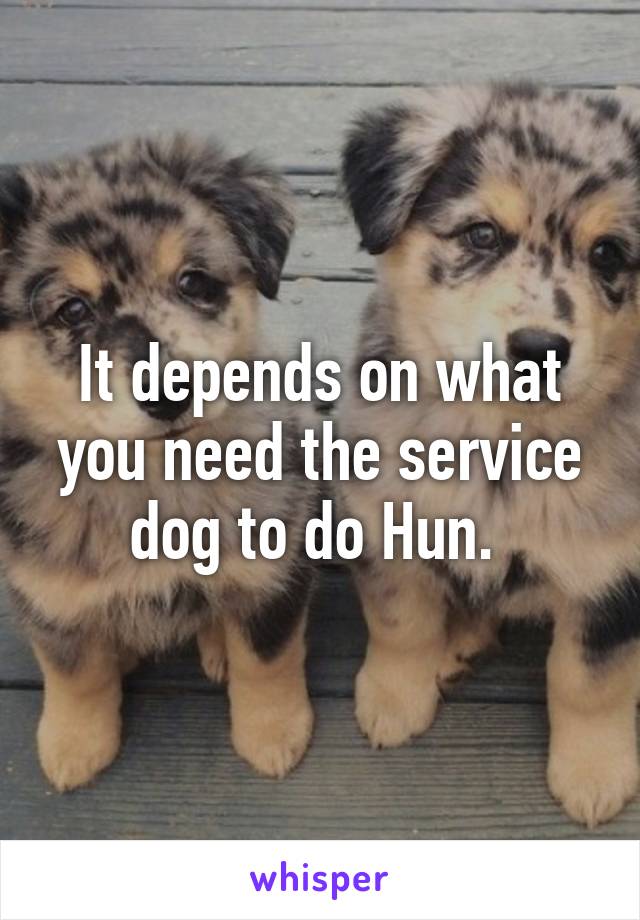 It depends on what you need the service dog to do Hun. 
