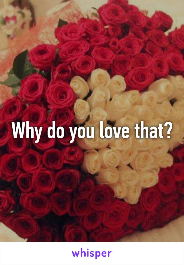 Why do you love that?