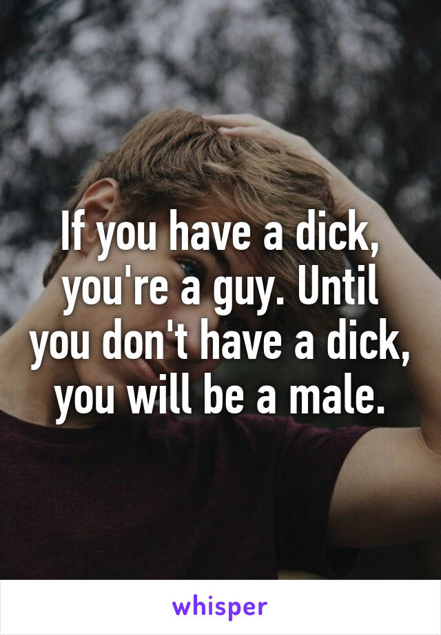 If you have a dick, you're a guy. Until you don't have a dick, you will be a male.