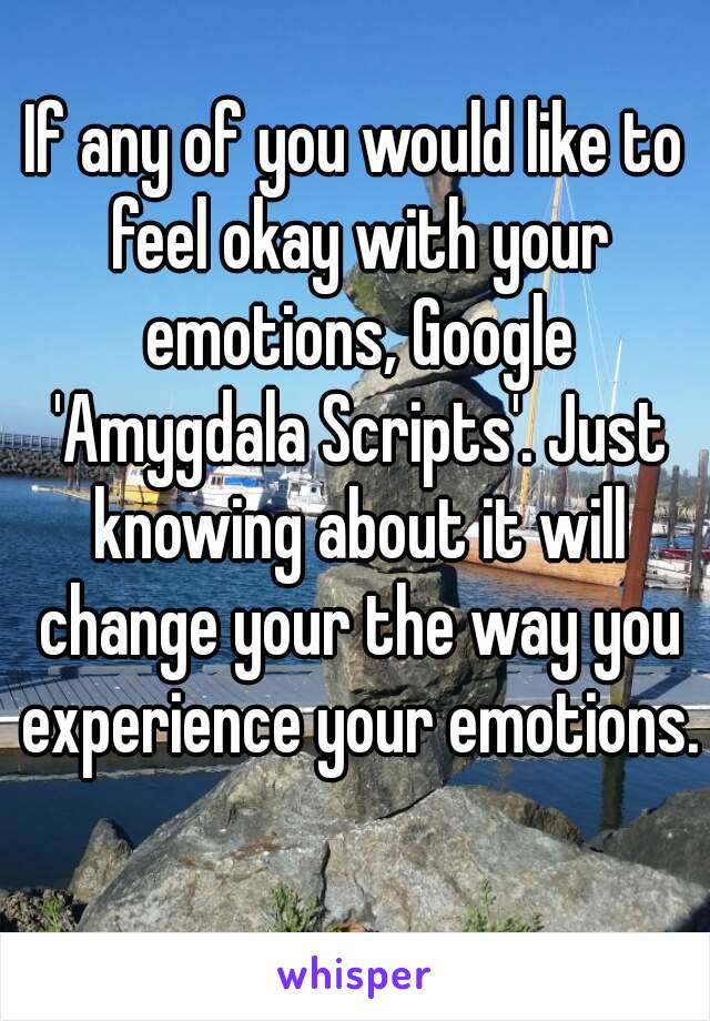 If any of you would like to feel okay with your emotions, Google 'Amygdala Scripts'. Just knowing about it will change your the way you experience your emotions. 