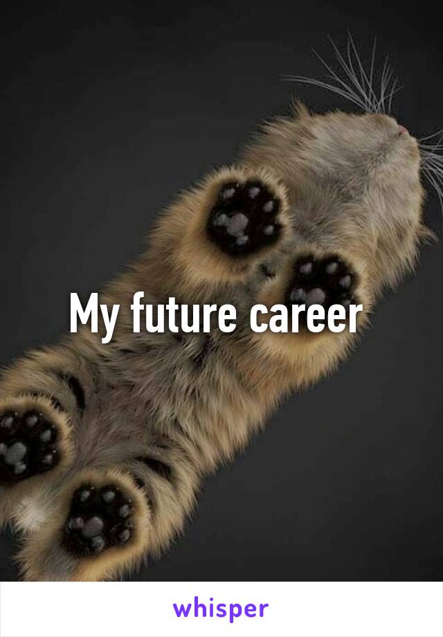 My future career 