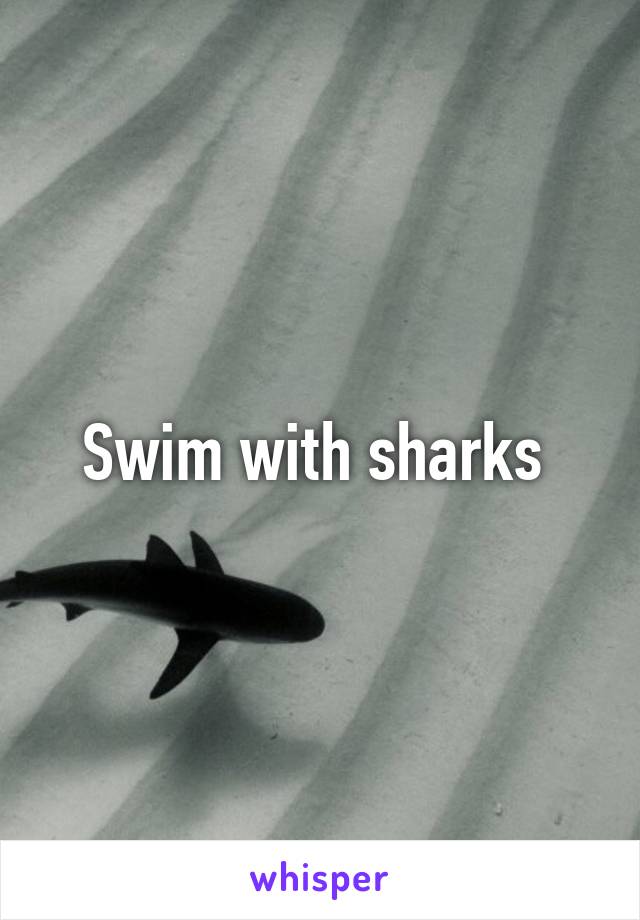 Swim with sharks 