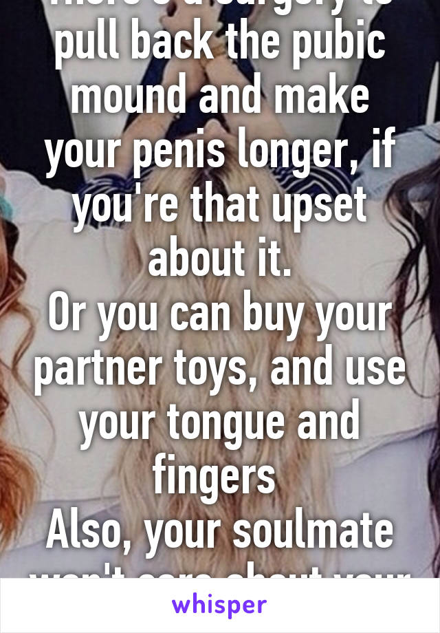 There's a surgery to pull back the pubic mound and make your penis longer, if you're that upset about it.
Or you can buy your partner toys, and use your tongue and fingers 
Also, your soulmate won't care about your penis size 