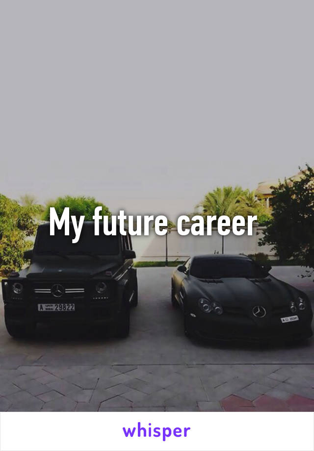 My future career 