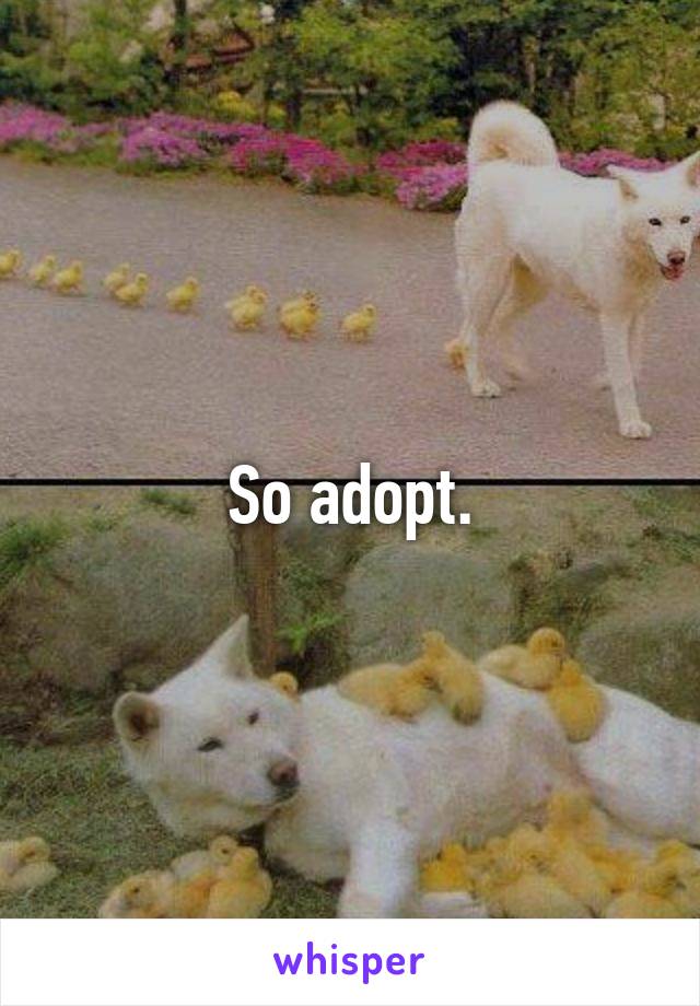 So adopt.