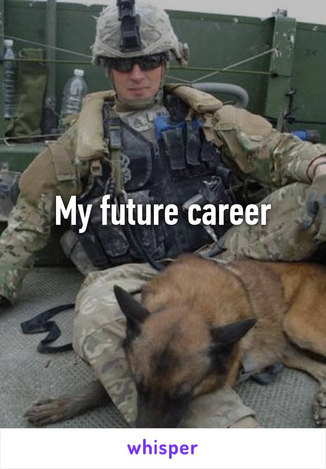 My future career
