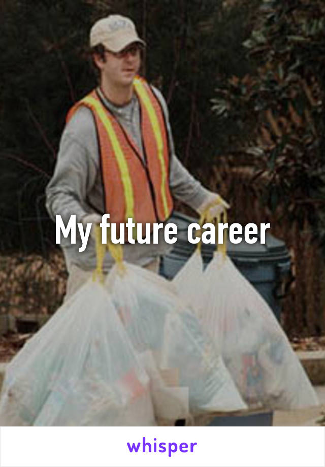 My future career