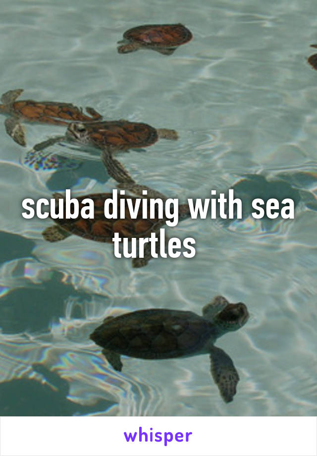 scuba diving with sea turtles 