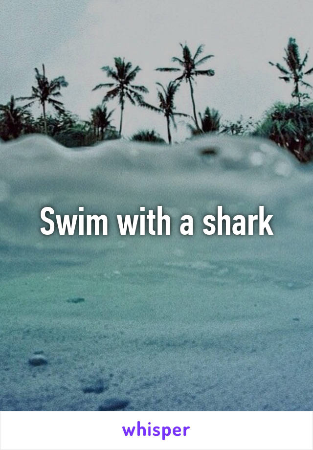 Swim with a shark