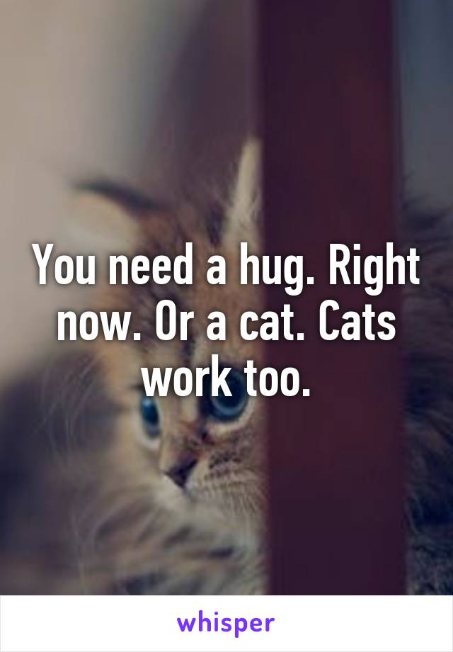 You need a hug. Right now. Or a cat. Cats work too.