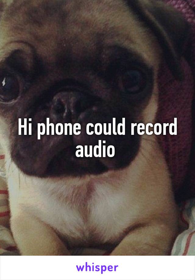 Hi phone could record audio 