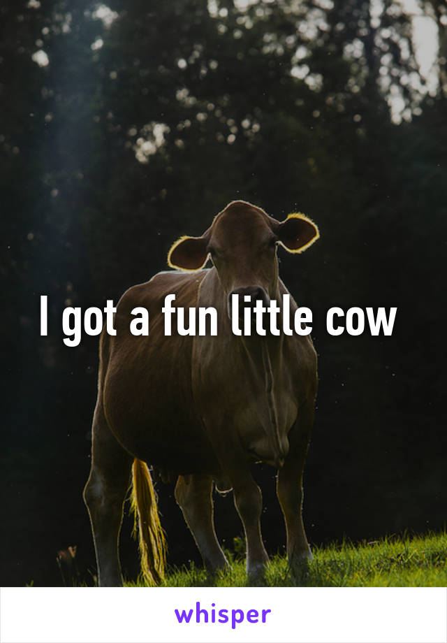 I got a fun little cow 