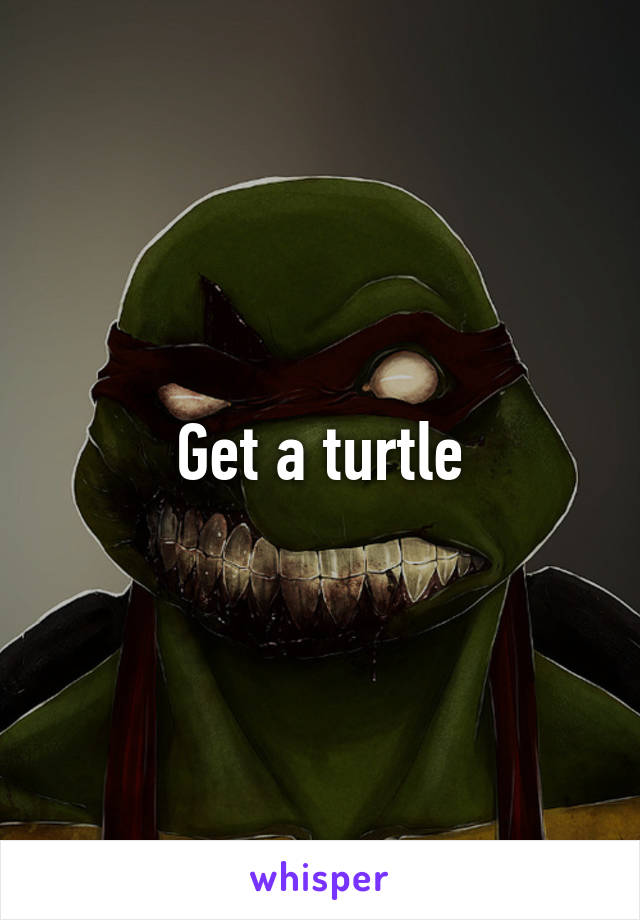 Get a turtle