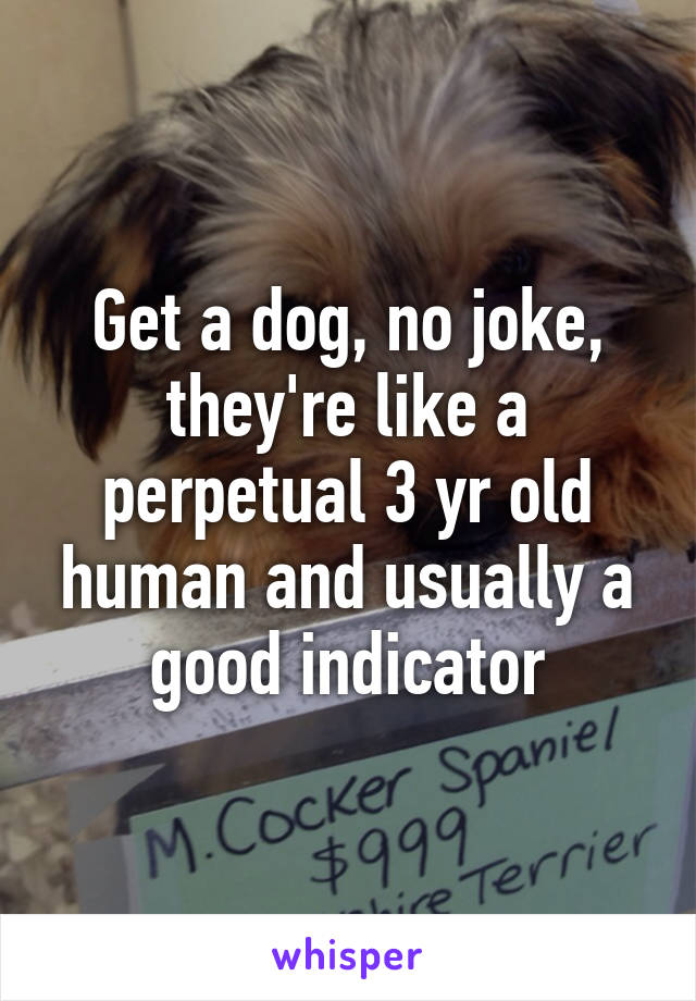 Get a dog, no joke, they're like a perpetual 3 yr old human and usually a good indicator