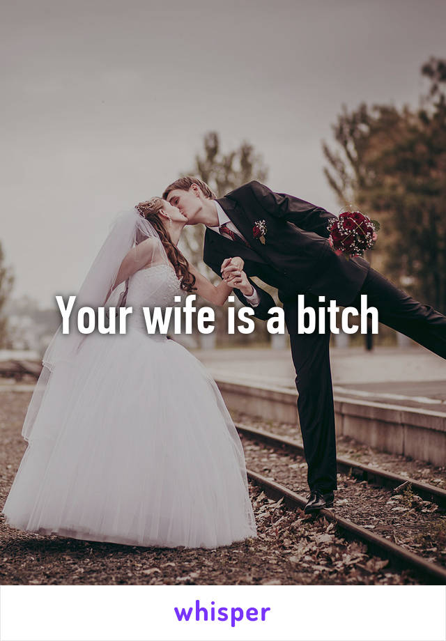 Your wife is a bitch 