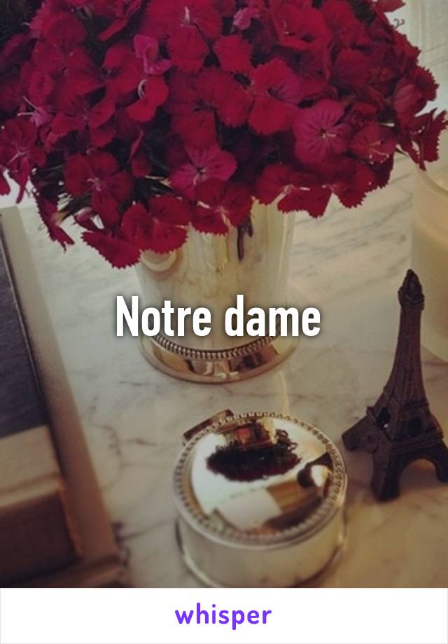 Notre dame 