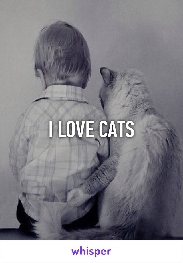 I LOVE CATS