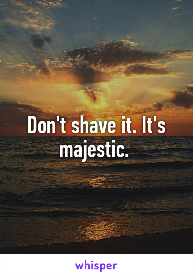 Don't shave it. It's majestic. 