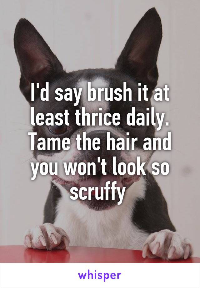 I'd say brush it at least thrice daily. Tame the hair and you won't look so scruffy 