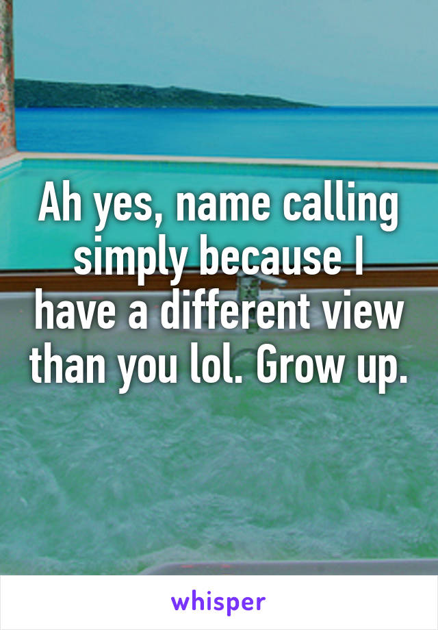 Ah yes, name calling simply because I have a different view than you lol. Grow up. 