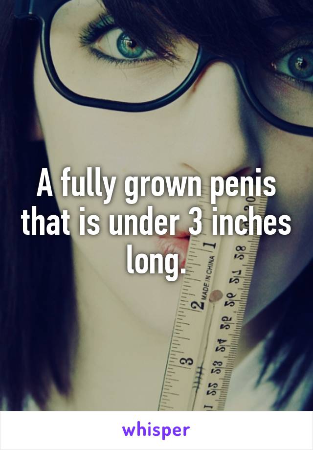 A fully grown penis that is under 3 inches long.